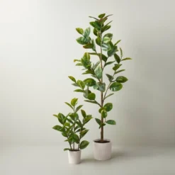 73" Faux Rubber Leaf Tree - Hearth & Hand™ With Magnolia -Home Decoration GUEST 6c20b565 db18 4aa0 adaa 8ad03c3a5063