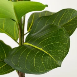 Home Decoration -Home Decoration GUEST e6bf94f7 a989 4e19 ad73 a7995ad92551